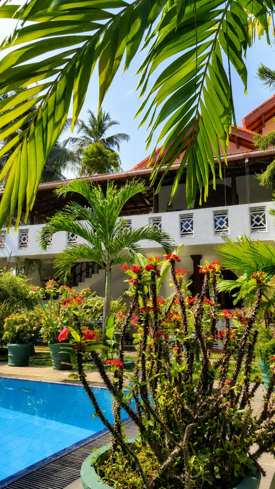Wellness & Facilities